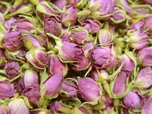 Drying Flowers and Plants