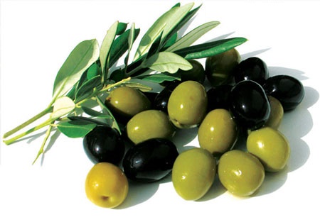 OliveOil