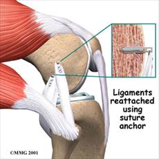 Anatomy of knee motion and strength sports report