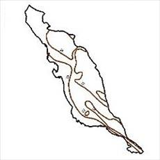 Isotherms contour map of Bushehr