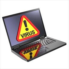 Computer viruses