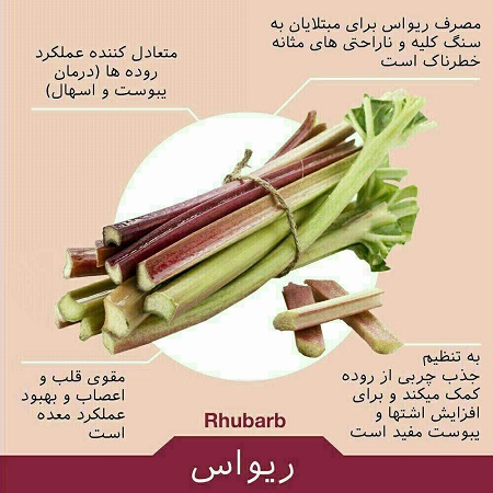 خواص درمانی ریواس؛ نوبرانه تابستانی + اینفوگرافی